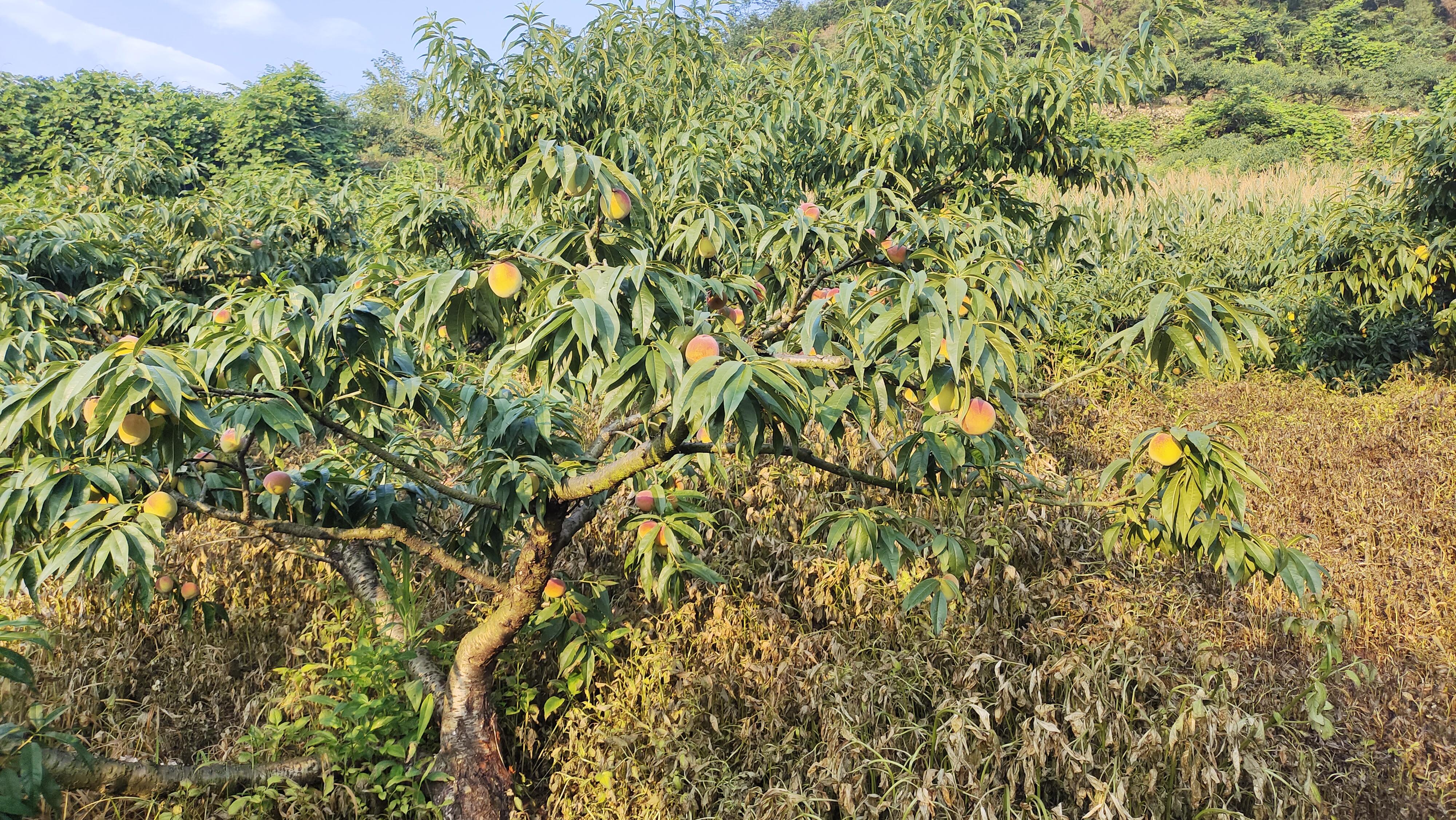 太和火车站现代化改造启动，展望未来发展新篇章