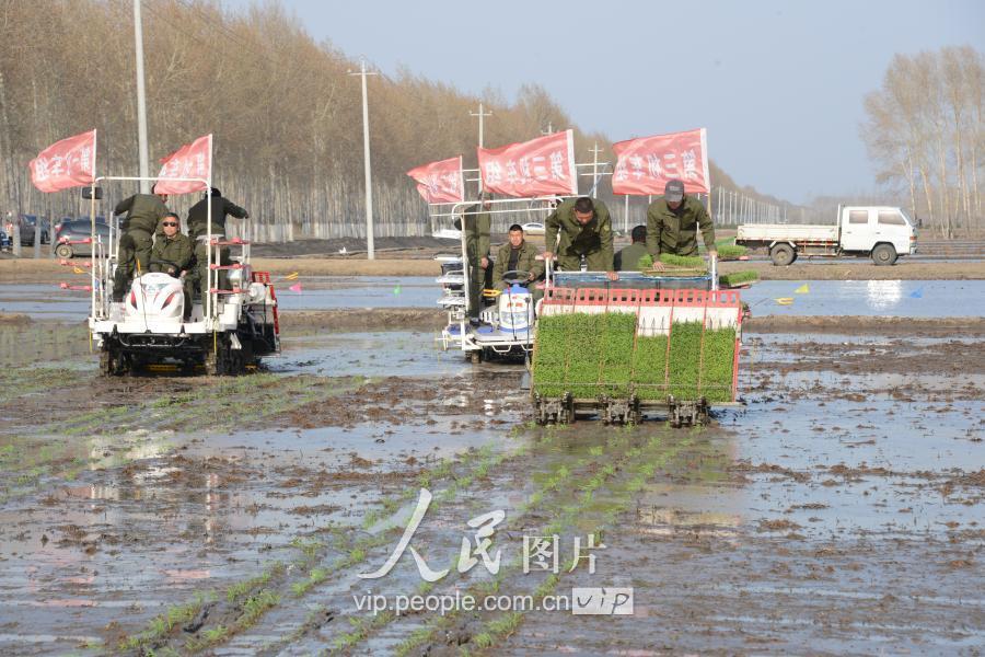 绥滨农场最新资讯速递