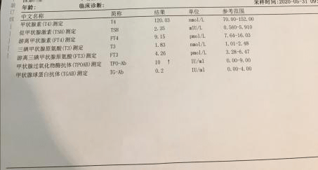 2004新奥门天天开好彩,实证分析解析说明_Z10.328