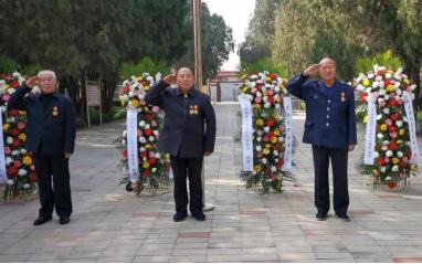 任丘市退役军人事务局项目最新进展与深远影响概述