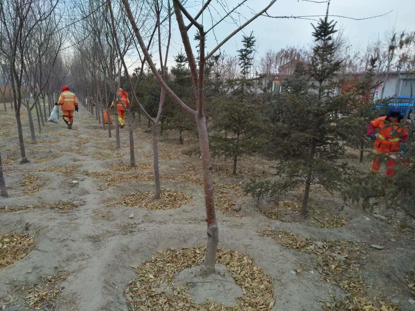 岛屿失梦 第6页