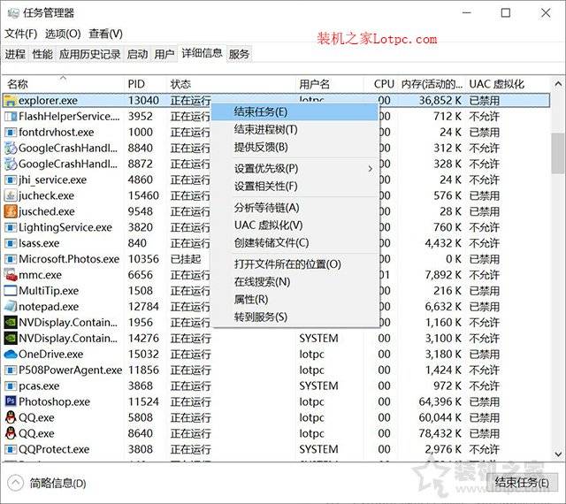 垂耳兔 第5页