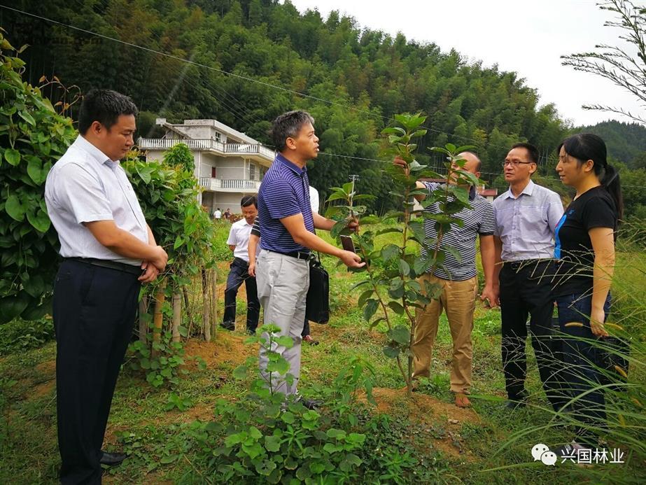 分水村新领导引领乡村发展新时代