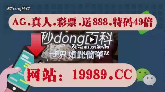 2024澳门天天开好彩资料_,准确资料解释落实_pack33.848