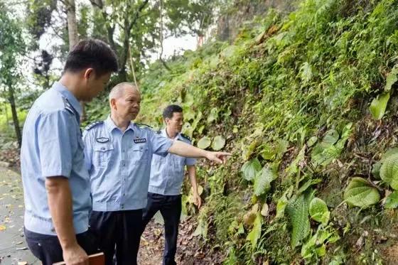 花滩林场最新招聘信息概览