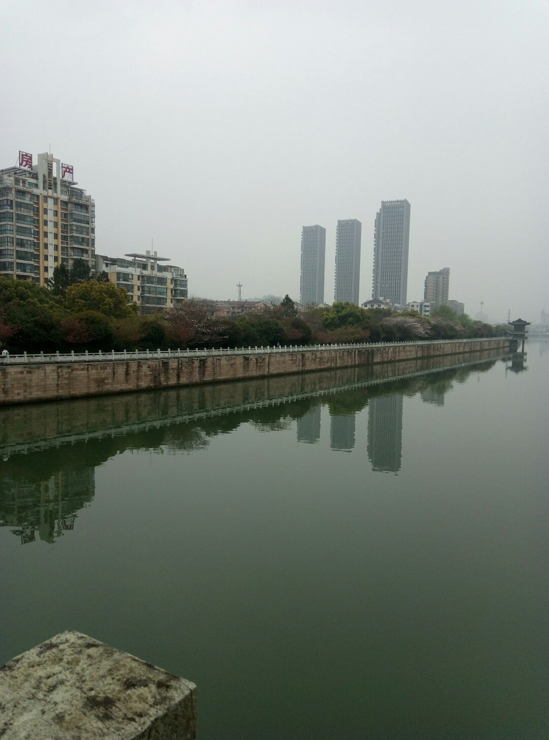 七星街道天气预报更新通知