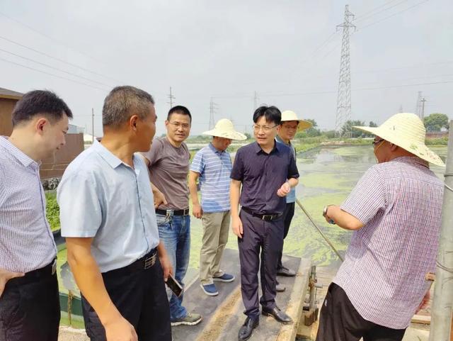 黄湖镇领导最新概览