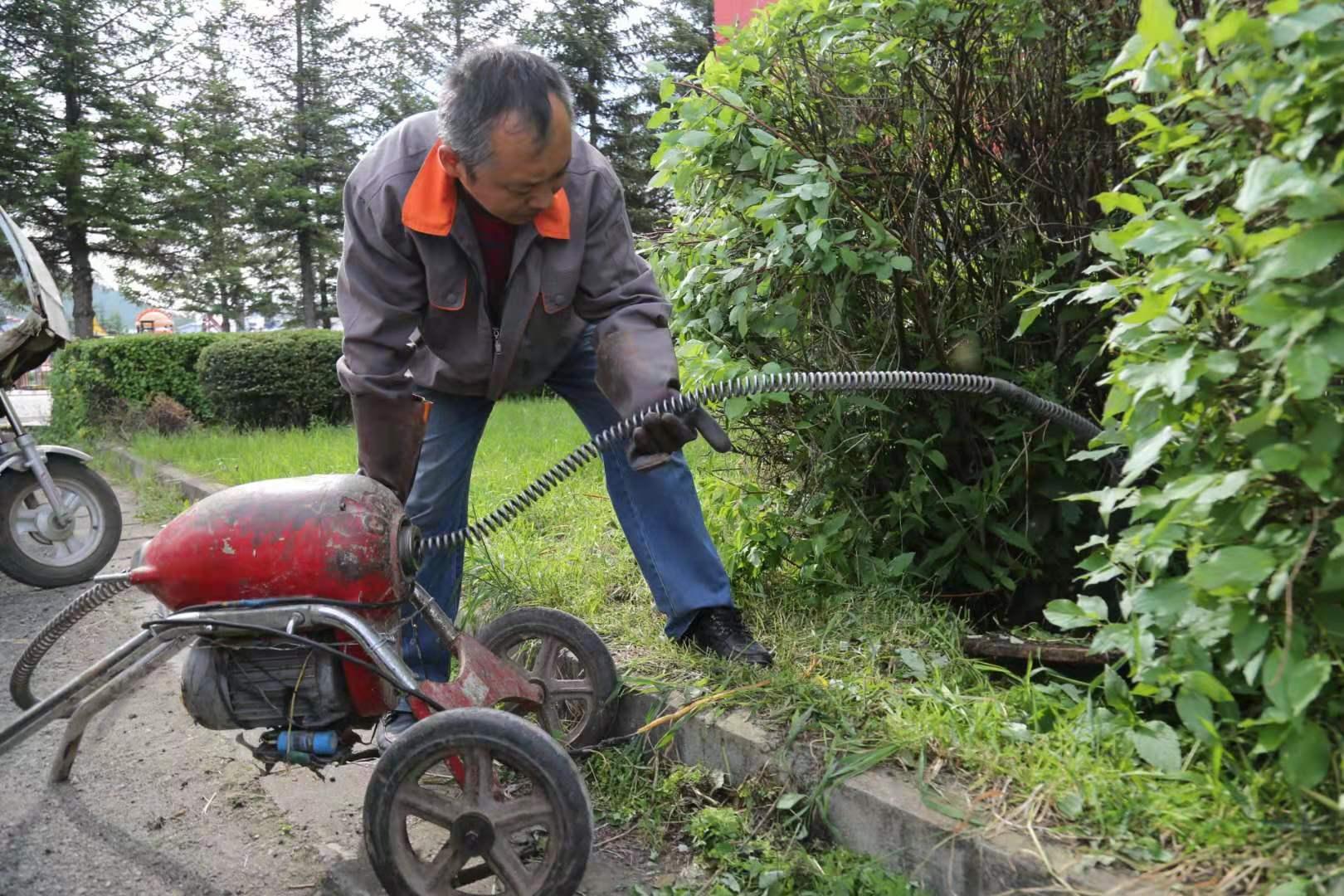 阿木尔林业局绿色发展规划，迈向未来繁荣之路