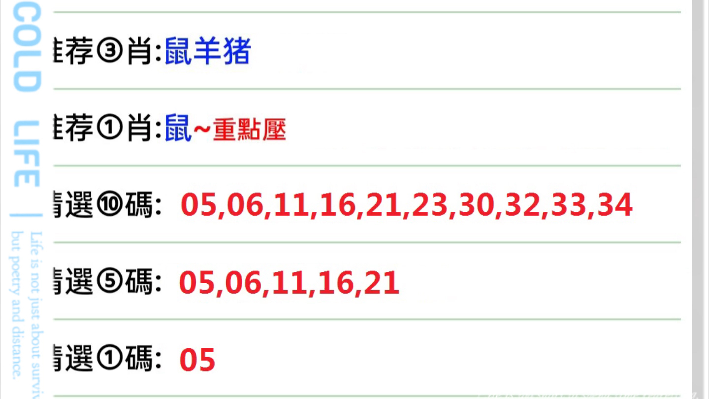 新澳门六合,专业分析说明_影像版70.894