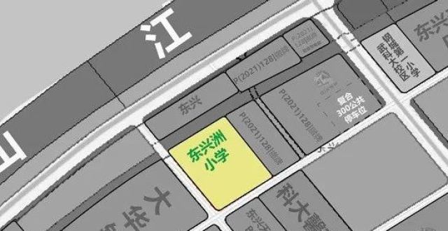 青山区小学发展规划概览，迈向未来的教育蓝图