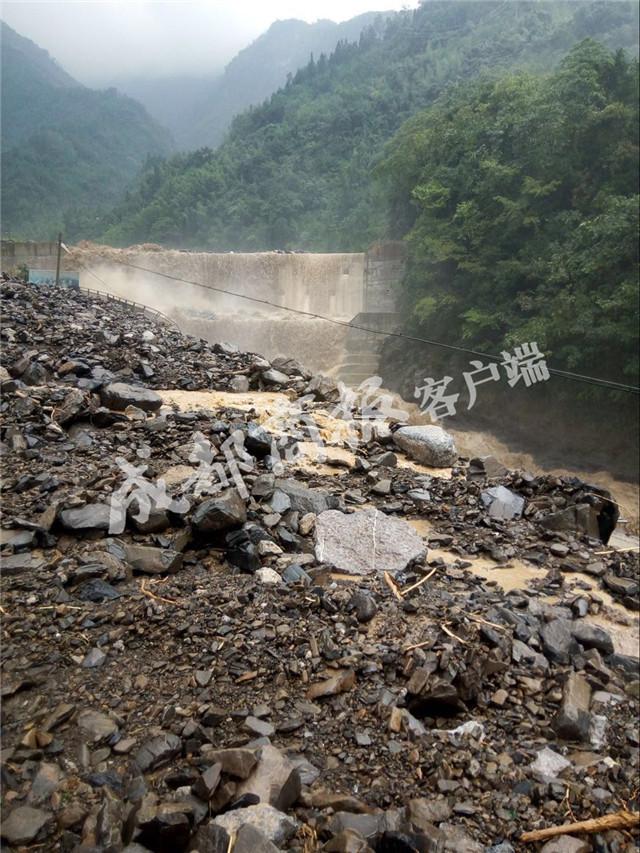 绵阳市林业局推动绿色生态发展，共建美丽绵阳新篇章