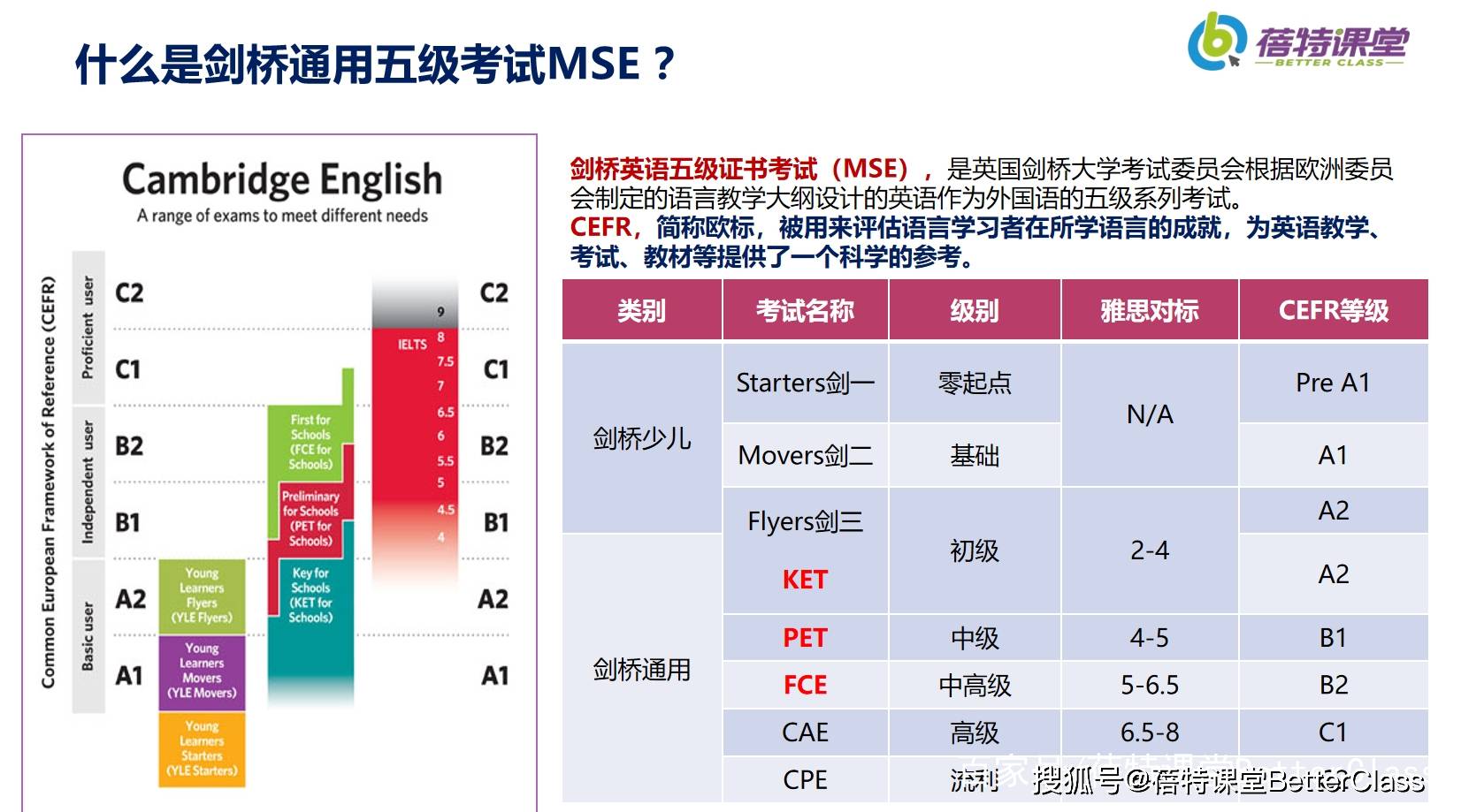 正宗黄大仙中特一肖,灵活性策略设计_VR29.684