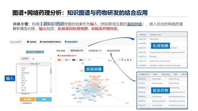 新澳正版资料免费提供,深度数据应用实施_专业版81.773