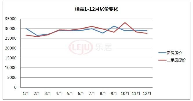 新澳门今晚开特马开奖2024年11月,现象解答解释定义_V63.882