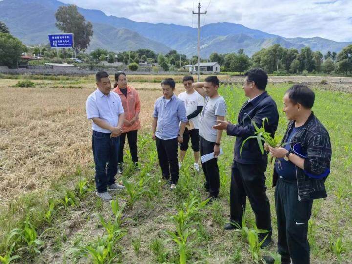 甲喜村最新新闻动态报道