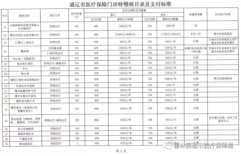 临江市医疗保障局最新项目概述