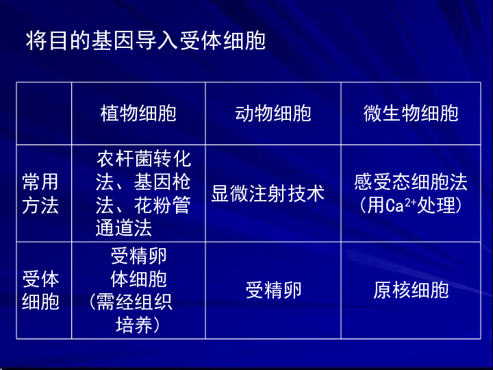 新澳精准资料大全,科技成语分析落实_游戏版256.183