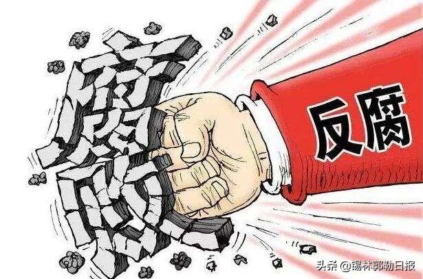 惠农区数据和政务服务局最新动态报道