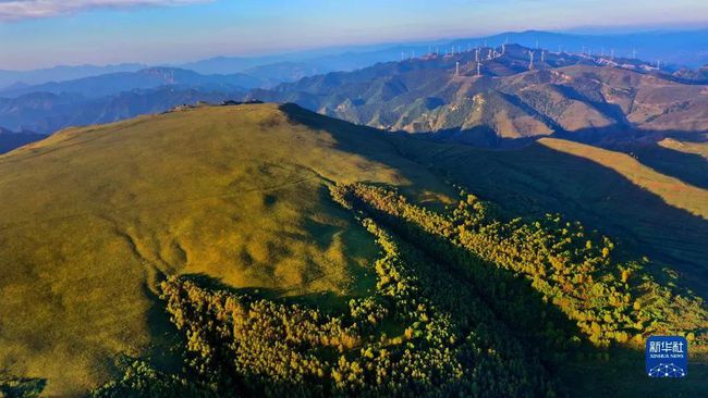 山西省大同市灵丘县白崖台乡最新天气预报