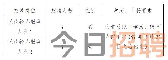 顺昌县统计局最新招聘启事