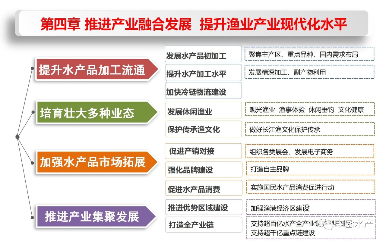 渔业社最新发展规划，探索未来，共创繁荣