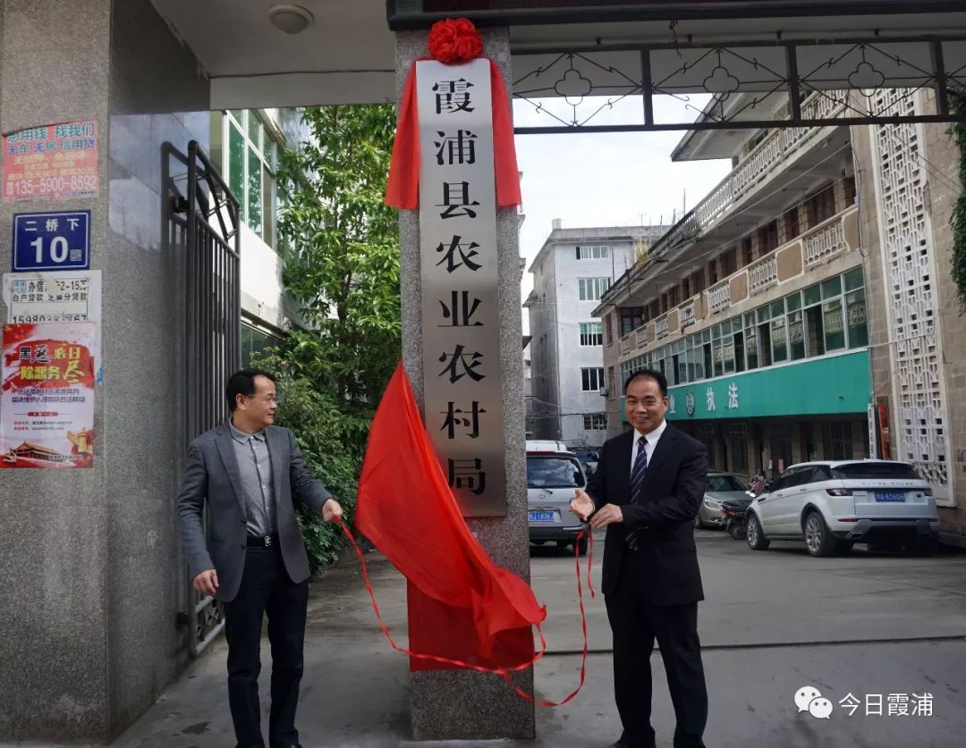 安远县发展和改革局最新项目概述