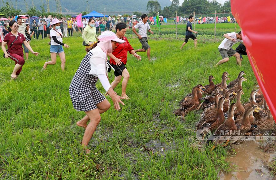 广福镇最新新闻报道