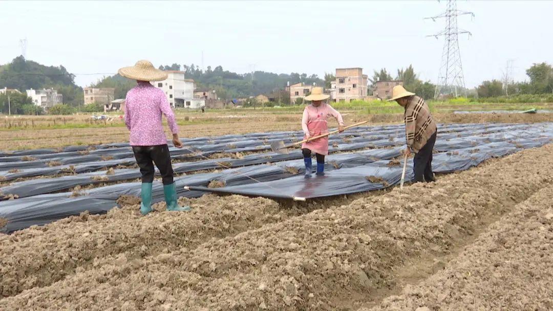 八步区计划生育委员会招聘公告发布，最新职位空缺及申请指南