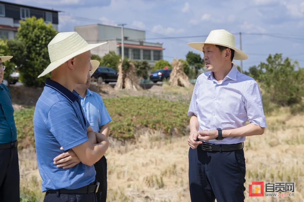 丰光村新面貌与时代变迁的最新报道