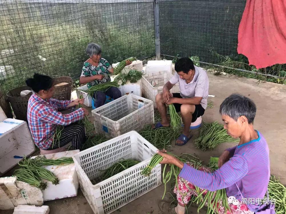 达那村全新发展规划揭晓