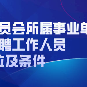 港闸区统计局最新招聘信息概览