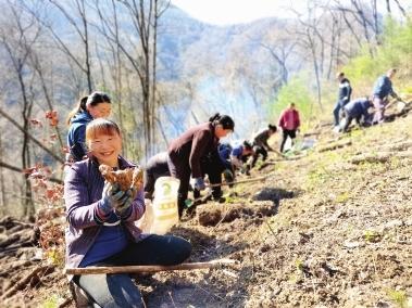 康县最新发展动态与地方焦点新闻综述