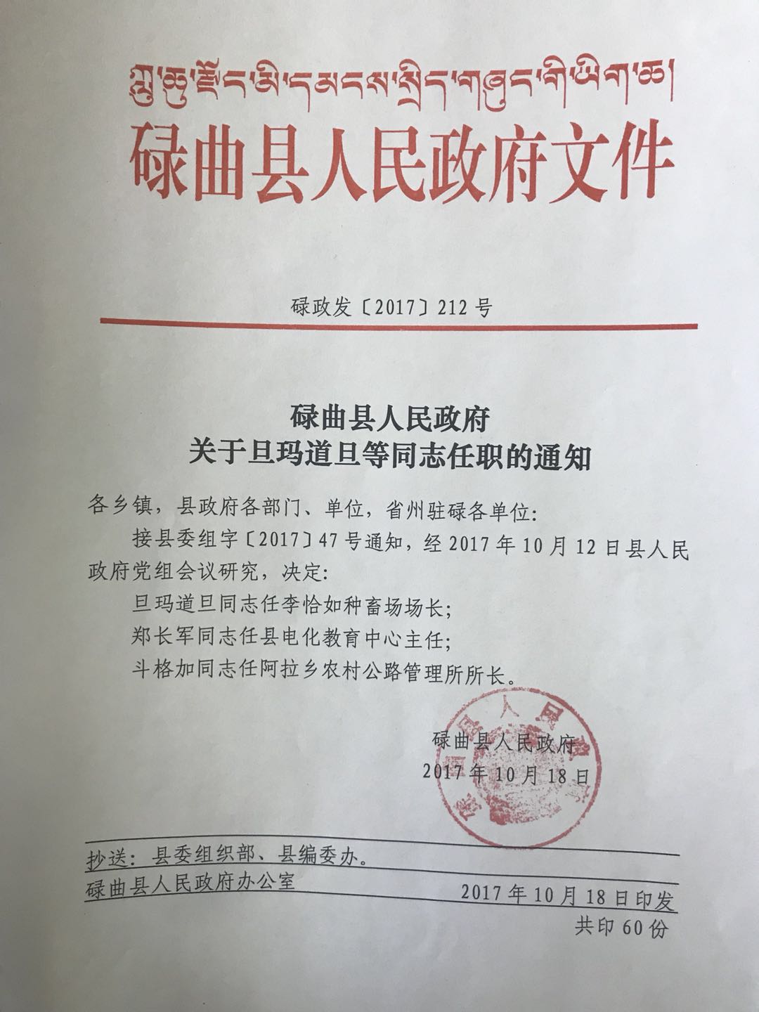 左贡县人民政府办公室人事任命，开启县域发展新篇章