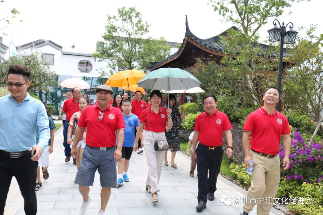 叶塘镇最新项目，引领地方发展的强大动力源泉