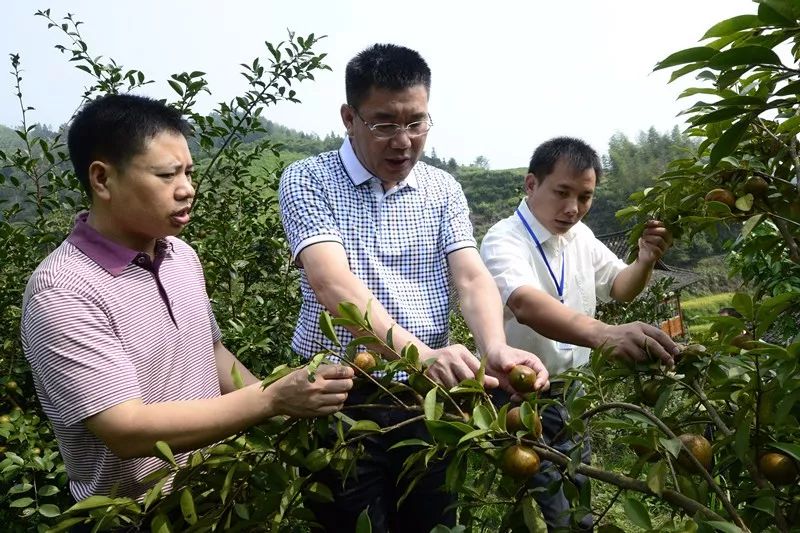 龙胜各族自治县水利局领导团队引领水利事业迈向新高度