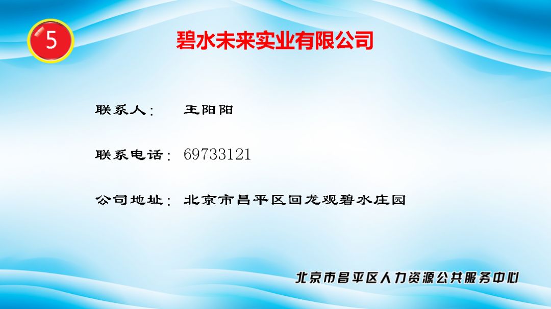 四明镇最新招聘信息全面解析