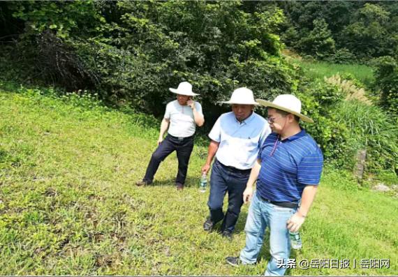 山坡村民委员会最新发展规划概览