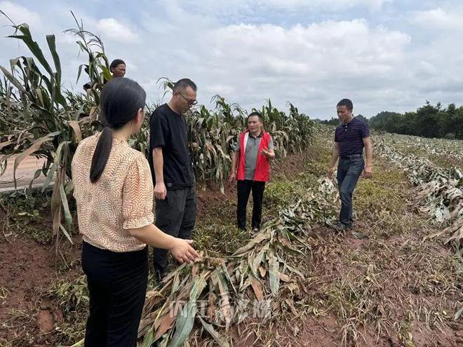 板栗乡威远镇最新招聘资讯汇总