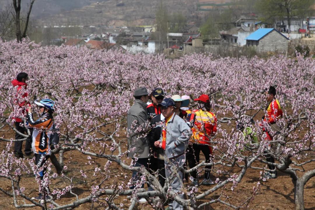 焦山最新项目引领绿色新时代变革之路