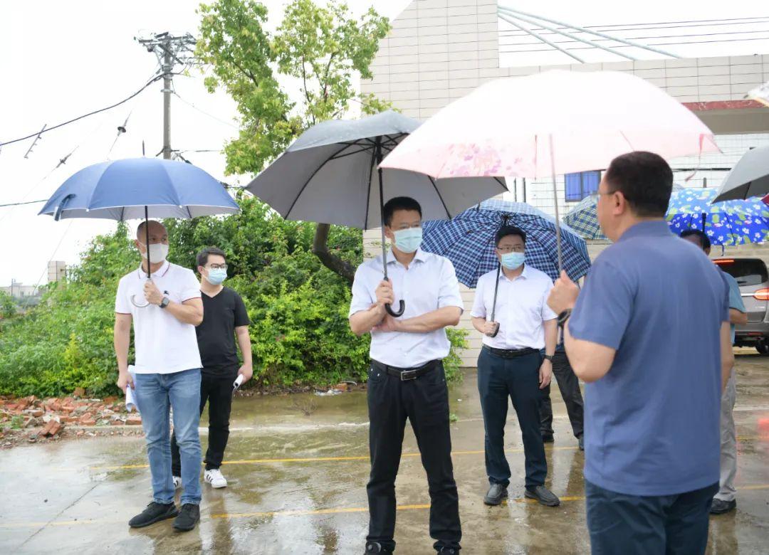 辋川镇新项目引领地方经济塑造未来蓝图