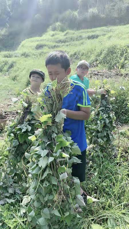 龙凤区科学技术和工业信息化局最新动态发布