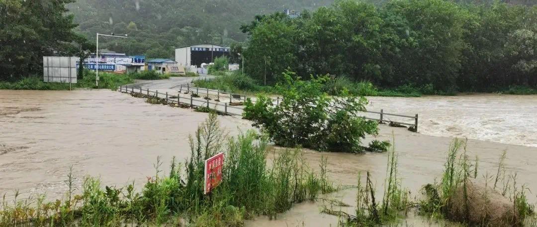 西门街道最新天气预报通知