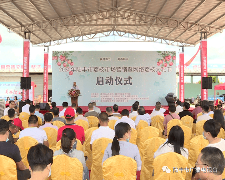 陆丰市文化广电体育和旅游局新项目，地方文化繁荣与旅游发展的强大驱动力