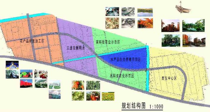 新埝村未来繁荣规划，塑造乡村新面貌，引领未来发展之路